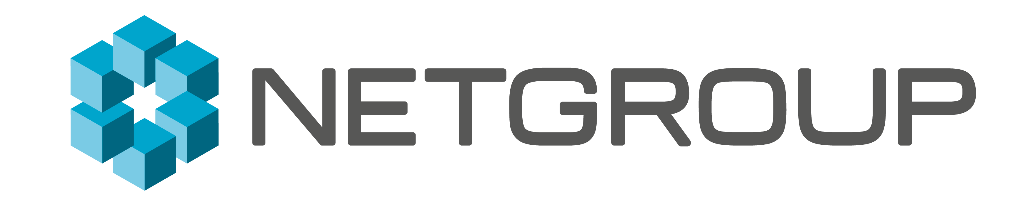 Netgroup_liggande-01